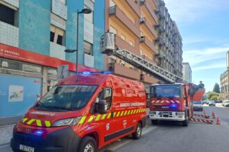 Braga Bombeiros Sapadores de Braga destroem tres ninhos de vespa asiatica junto ao Tribunal Administrativo e Fiscal