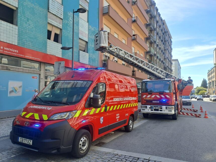 Braga: Bombeiros Sapadores de Braga destroem três ninhos de vespa asiática junto ao Tribunal Administrativo e Fiscal Braga Bombeiros Sapadores de Braga destroem tres ninhos de vespa asiatica junto ao Tribunal Administrativo e Fiscal