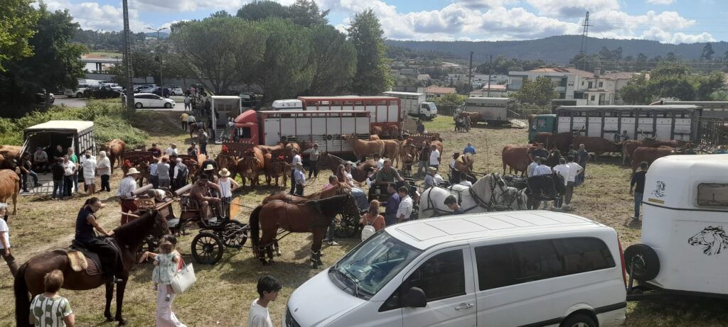 Feira Franca Tadim11