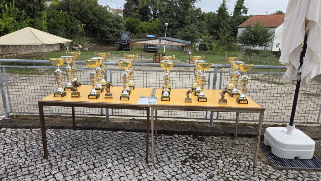 Braga: Feira Franca de São Bartolomeu de Tadim reuniu cerca de uma centena de animais em certame agropecuário Feira Franca Tadim4