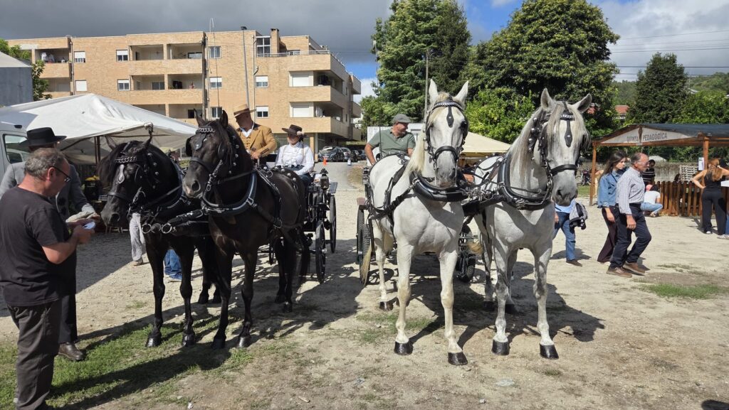 Feira Franca Tadim5