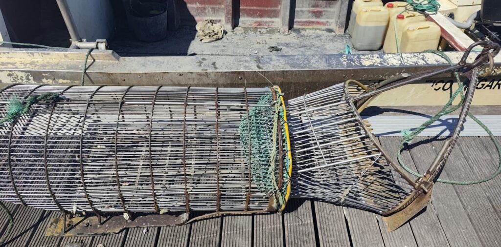 Montijo: Polícia Marítima apreende embarcação de recreio na apanha de amêijoa Policia Maritima apreende embarcacao de recreio no canal do Montijo 1