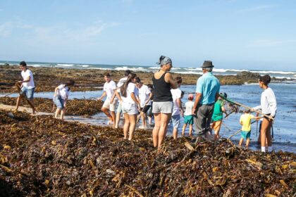 Povoa de Varzim Jovens da Area Metropolitana aprendem tradicao da apanha do sargaco em Agucadoura
