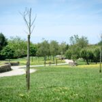 Povoa de Varzim Terceira fase do Parque da Cidade avanca com investimento de 395 mil euros em ciclovia e corredores verdes
