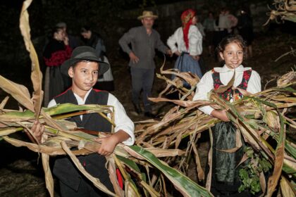 Vila Verde Vindimas desfolhadas e docaria tradicional unem geracoes Na Rota das Colheitas