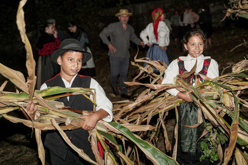 Vila Verde: Vindimas, desfolhadas e doçaria tradicional unem gerações 'Na Rota das Colheitas' Vila Verde Vindimas desfolhadas e docaria tradicional unem geracoes Na Rota das Colheitas