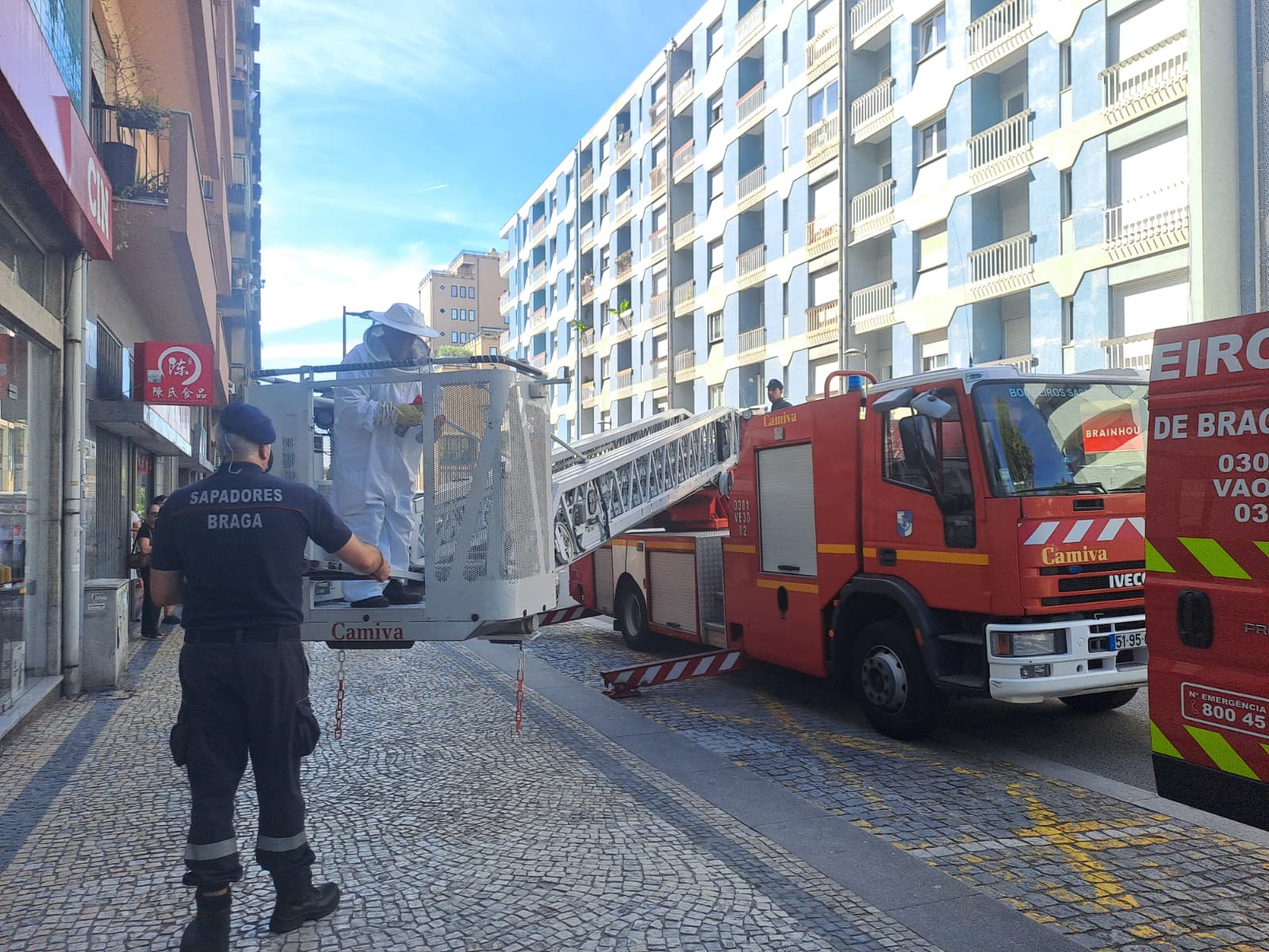 Braga: Bombeiros Sapadores de Braga destroem três ninhos de vespa asiática junto ao Tribunal Administrativo e Fiscal WhatsApp Image 2026 09 18 at 16.55.01