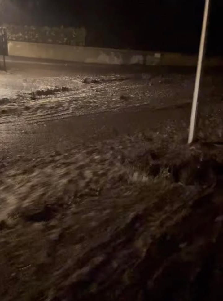chuva alaga viana