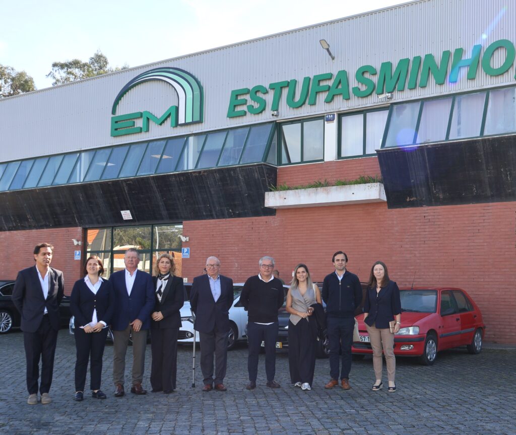 5 estufas