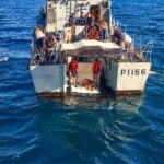 Ambiente Tartaruga Molly regressa ao oceano apos 20 anos de cuidados humanos