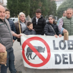 Arcos de Valdevez Criadores de gado protestam contra ataques de lobo e exigem acoes concretas ao Governo