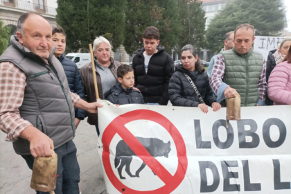 Arcos de Valdevez Criadores de gado protestam contra ataques de lobo e exigem acoes concretas ao Governo