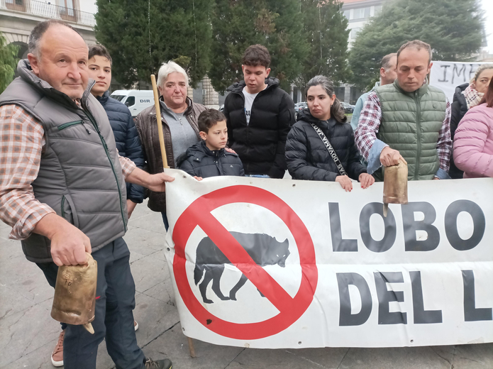 Arcos de Valdevez Criadores de gado protestam contra ataques de lobo e exigem acoes concretas ao Governo