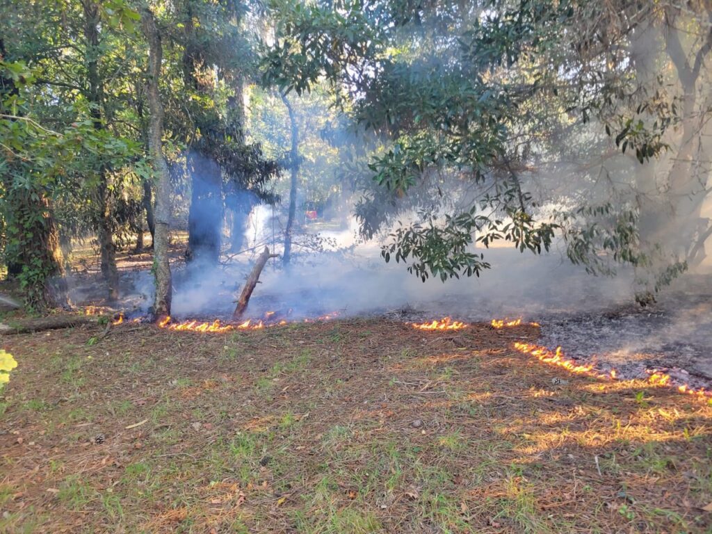 BV Fao incendio fonte boa esposende a28 2