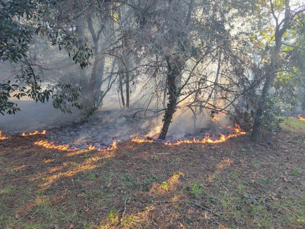 BV Fao incendio fonte boa esposende a28 3