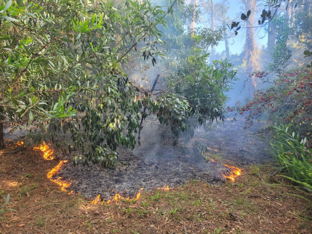 BV Fao incendio fonte boa esposende a28 5