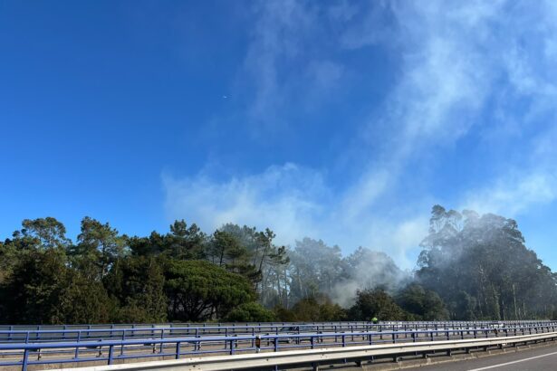 incendio fonte boa A28 esposende - 1